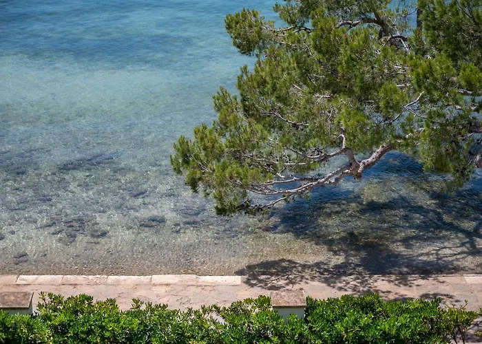 Isabela 2a 3 Con Atico *